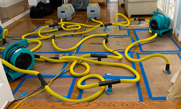 Professional Crawl Space Water Removal technician working in Port Austin, MI